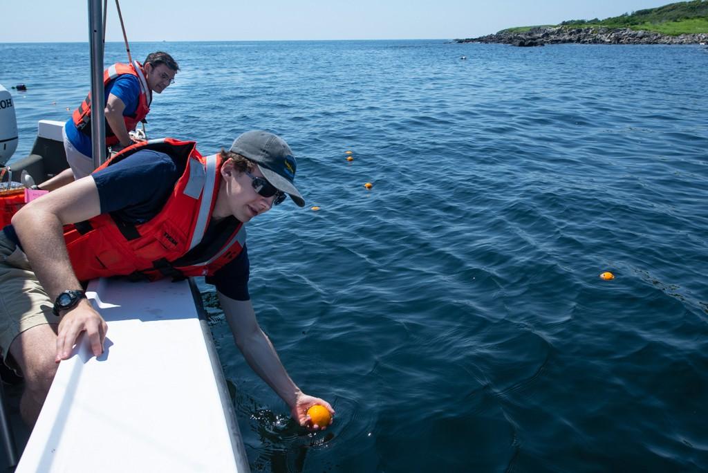 A U N E student leans over the edge of a boat over the water to place a research device in the ocean.